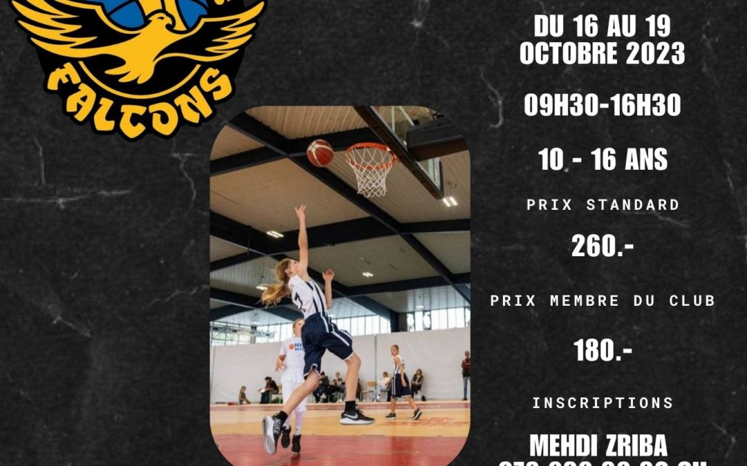 Camp de basket – BC Ecublens Falcons 3×3